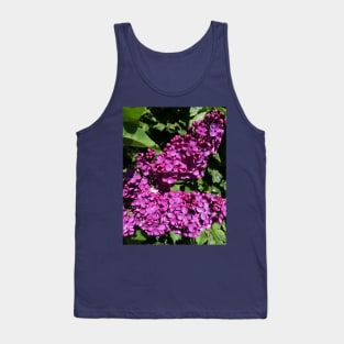 Lovely Lilac Flower Blooming In Spring Tank Top